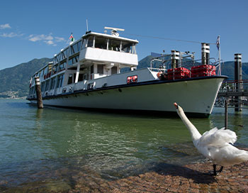 Truck/RV/Boat Parking (30 x 15)